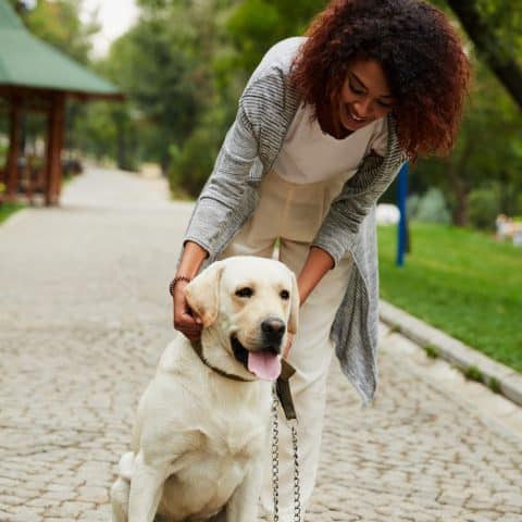 Cheerful woman pets her Labrador on a city park sidewalk